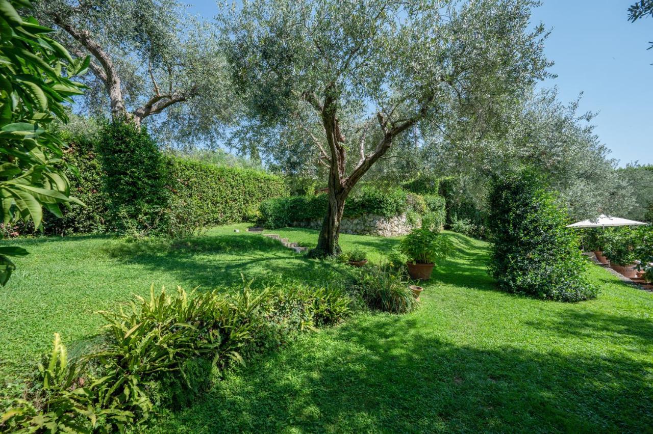 Villa Eden Forte Dei Marmi With Private Infinity Pool Santa Lucia  Eksteriør bilde