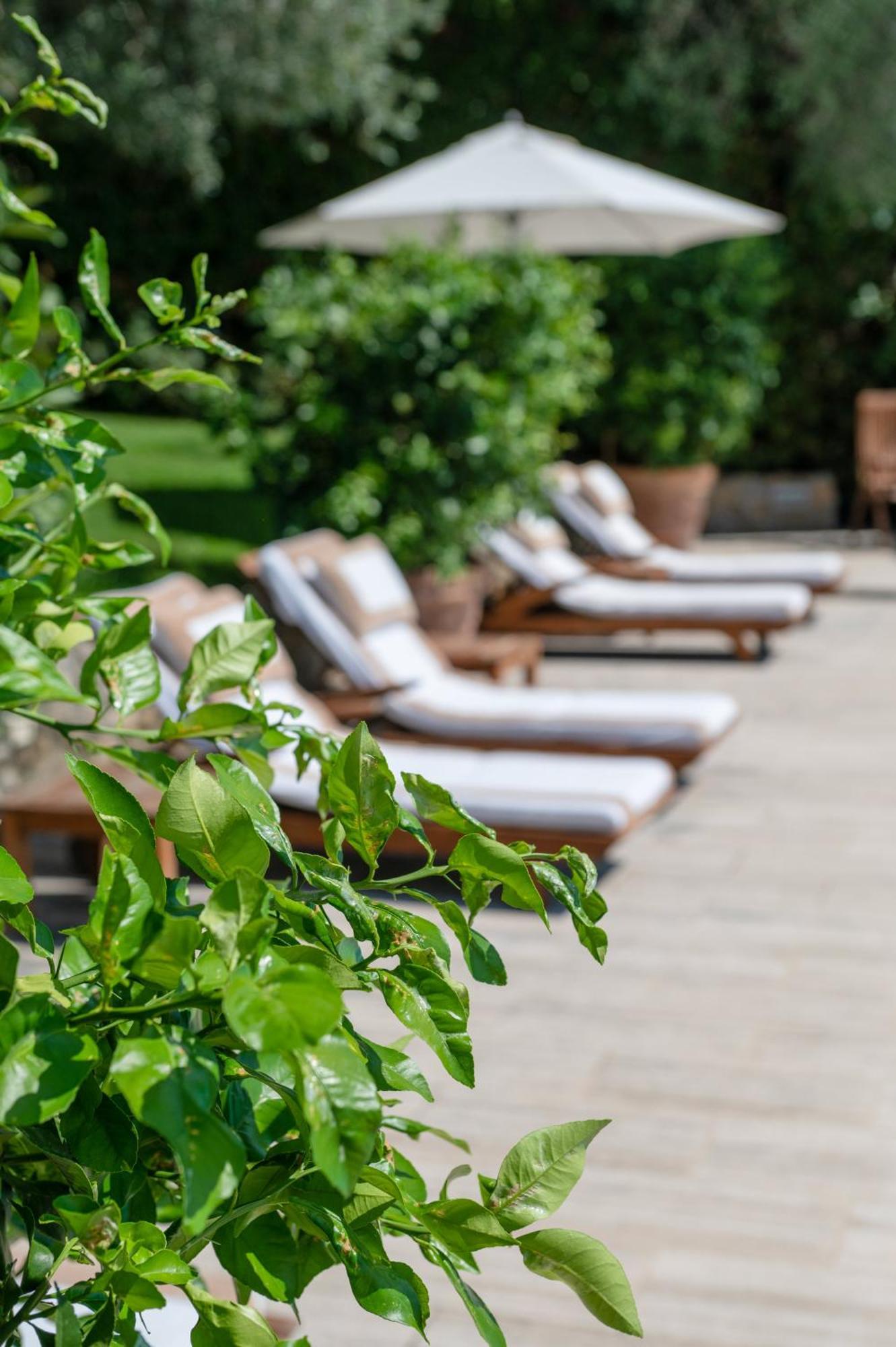 Villa Eden Forte Dei Marmi With Private Infinity Pool Santa Lucia  Eksteriør bilde